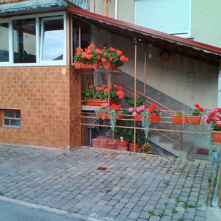 Apartment Janja Vojnik ภายนอก รูปภาพ