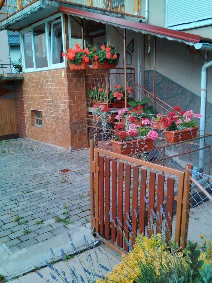 Apartment Janja Vojnik ภายนอก รูปภาพ