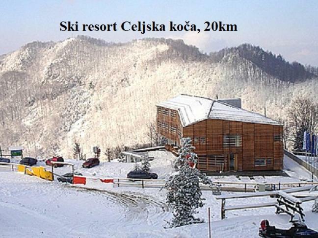 Apartment Janja Vojnik ภายนอก รูปภาพ