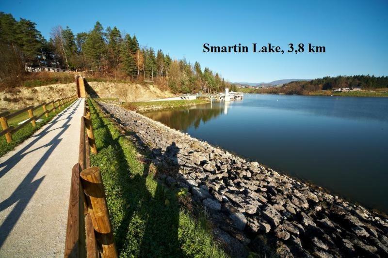 Apartment Janja Vojnik ภายนอก รูปภาพ